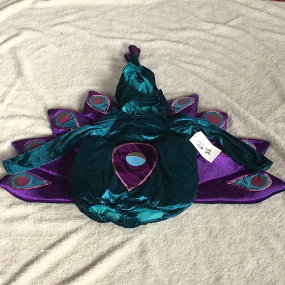 Princess Paradise Other - PRINCESS PARADISE PEACOCK COSTUME SIZE 18m-2t